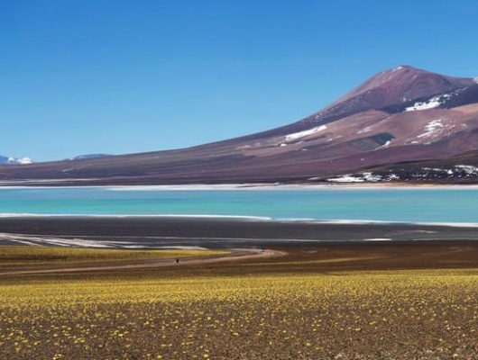 voyage solidaire argentine